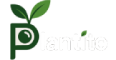 Plantito